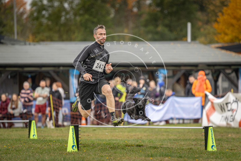 Pfotenfotografie_DV3A5056 | Hundefotografie, Tierfotograf, Pfotenfotografie, Fotoshooting Hund, Hunde Portrait, Hundesport, Hundeportraits, Heideshooting, Hunde, Sportfotograf, Hundefotograf, Turnierhundsport, THS,  - Realisiert mit Pictrs.com