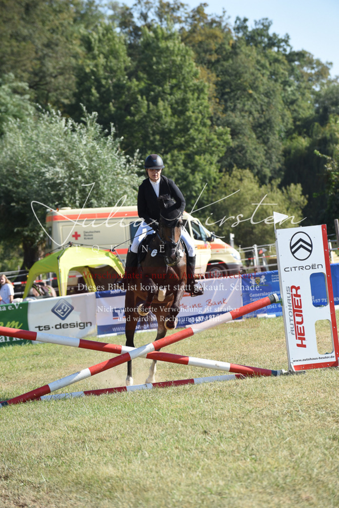 DSC_5926 | Pferde- und Turnierfotografie in Westsachsen. Pferdeportraits, Auftragszeichnungen und intuitive Kunst.