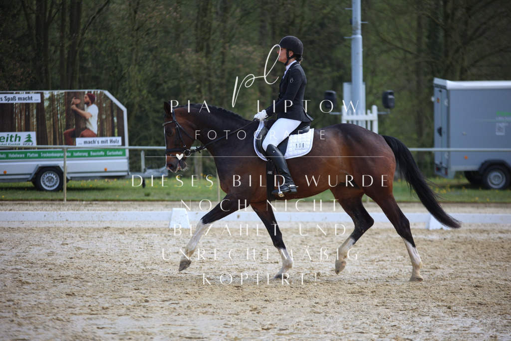 IMGT4636 | pl-fotografie