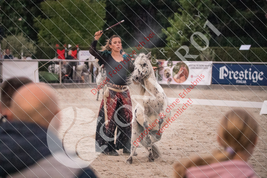 DSC_0135 | Sport-, Event- und Tierfotos in Profiqualität. Einfach auswählen, bestellen und herunterladen. Dein Moment – perfekt festgehalten.