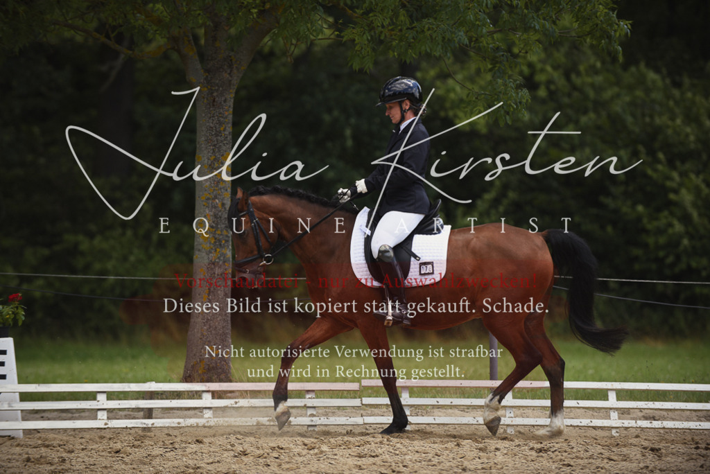 DSC_1544 | Pferde- und Turnierfotografie in Westsachsen. Pferdeportraits, Auftragszeichnungen und intuitive Kunst.