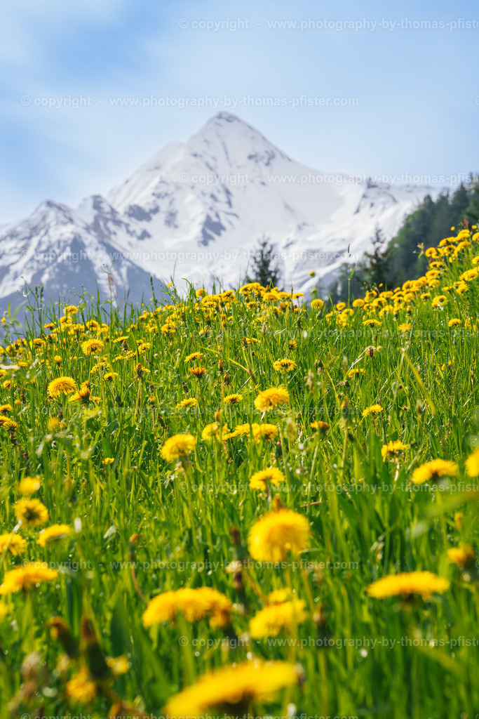 Kleinschwendberg Blick Talauswärts copyright  Thomas Pfister-2 | PHOTOGRAPHY BY THOMAS PFISTER