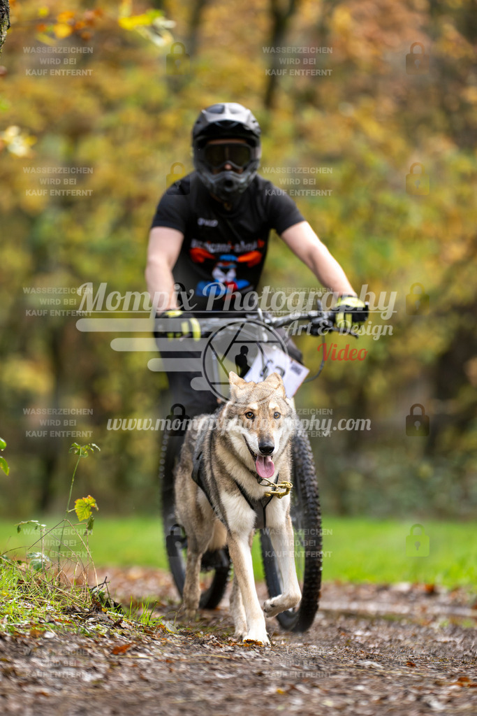 MompixPhotography_Bischwiller23_Bike-50 | PayLife