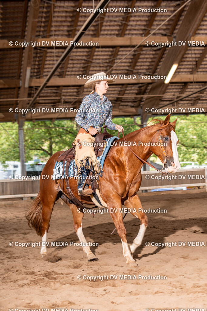 Erbach Tag 1-1095 | dv-media-shop - Realisiert mit Pictrs.com