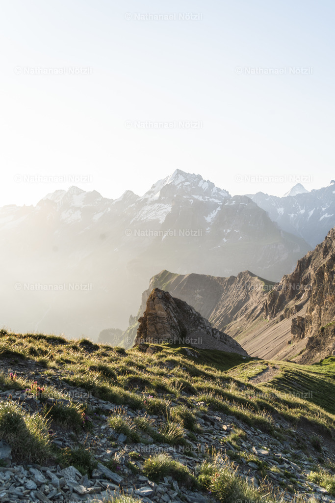 DSC00241 | Nathanael Nötzli - Realisiert mit Pictrs.com