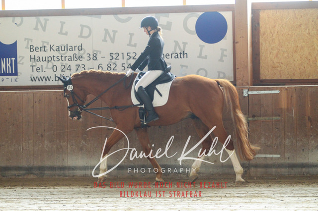 DKP44933 | Turniersportfotografie; Pferdefotografie; Dressurfotografie