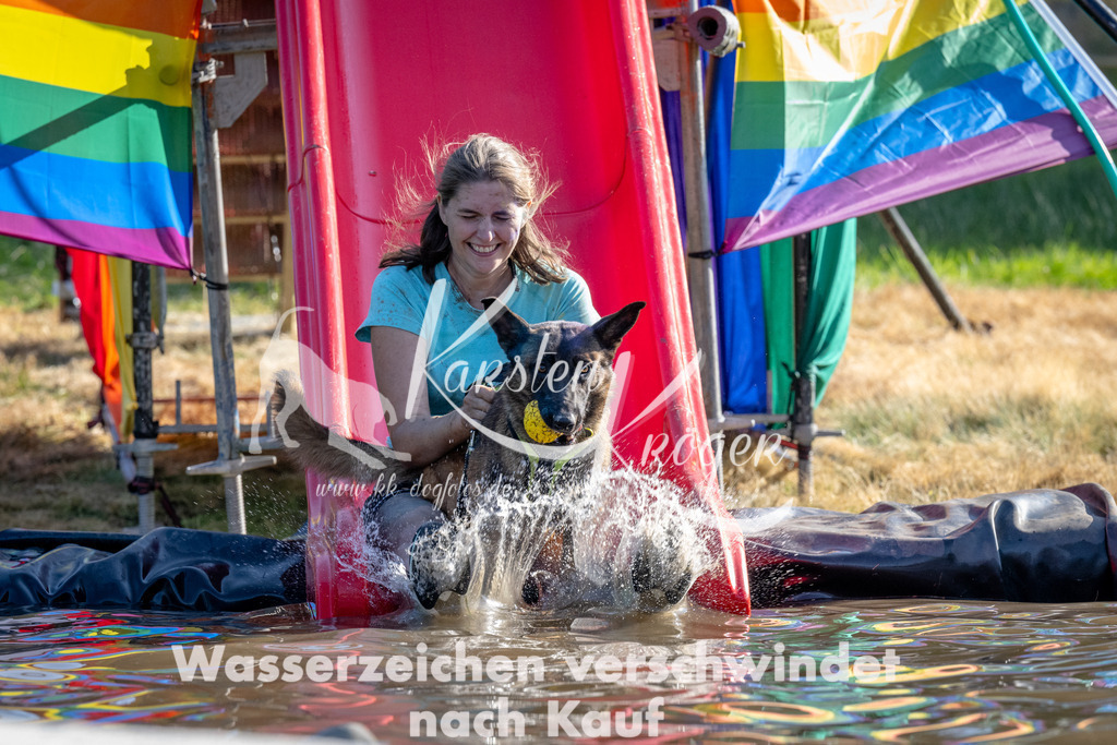 1653_ZZ92331 | kk-dogfotos
