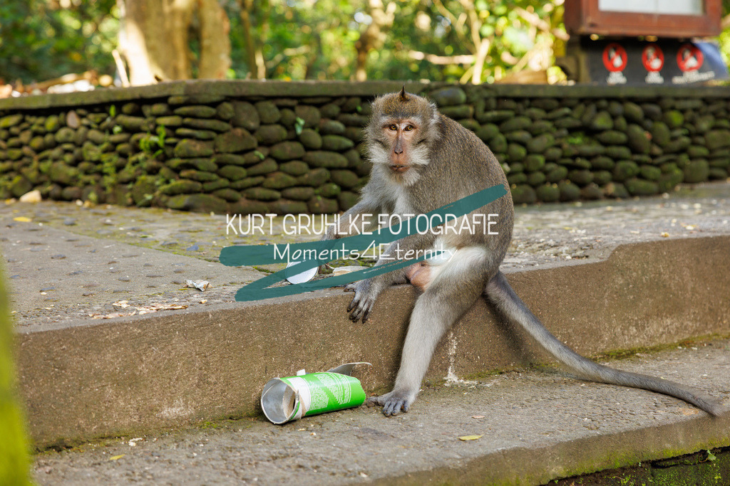 230718-0185 | onlinegalerie und Fotoshop Kurt Gruhlke Fotograf Berlin
Hochzeitsfotograf Eventfotograf Portraitfotografie
 - Realisiert mit Pictrs.com