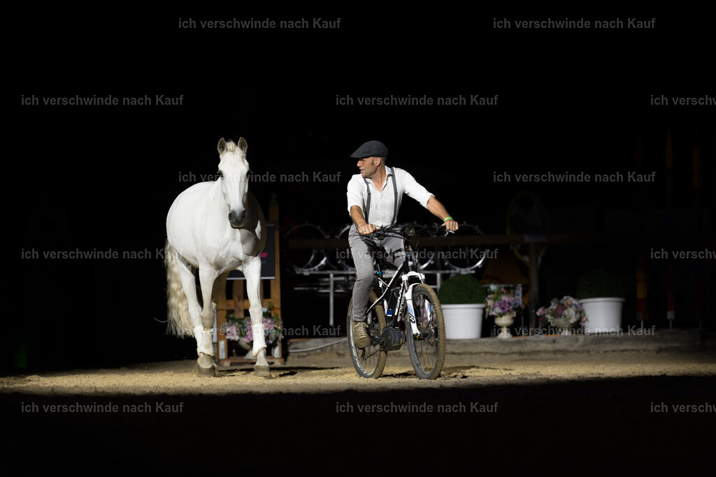 Gala-196 | working equitationturnier fotograf videograf stoibphotography marixx film working equitation deutschland reitsport turnierfotografie eventfotografie equestrian events