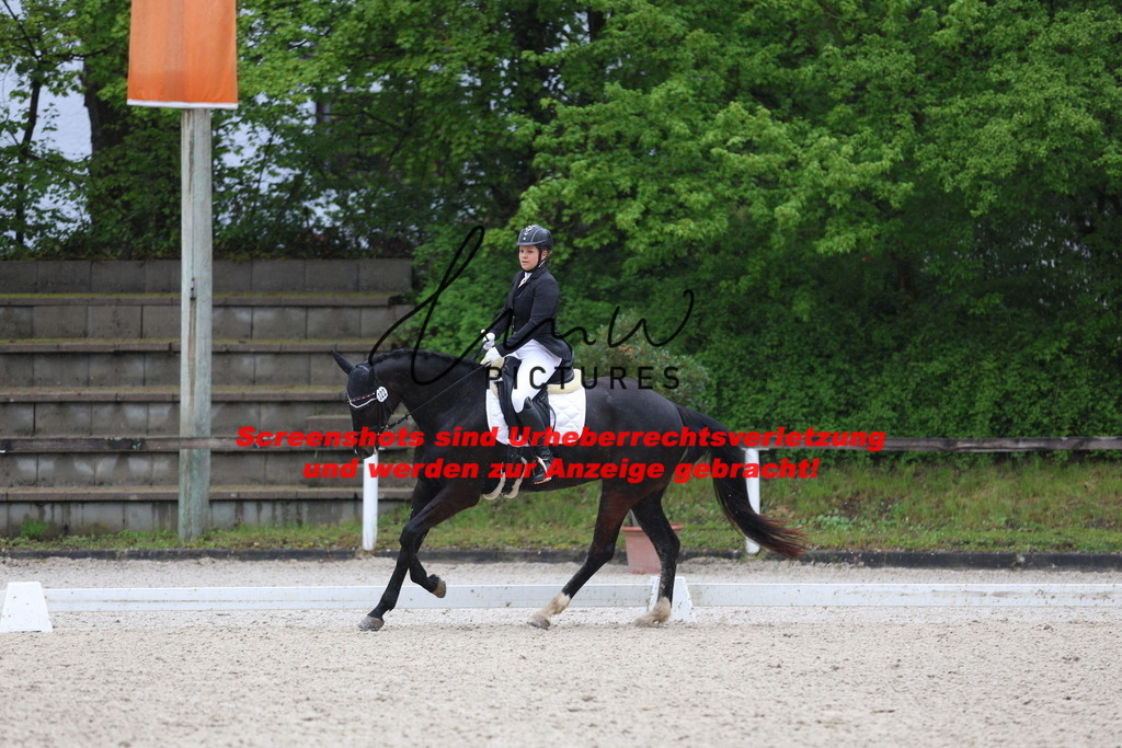 A40A8793 | lmwpictures - Realisiert mit Pictrs.com