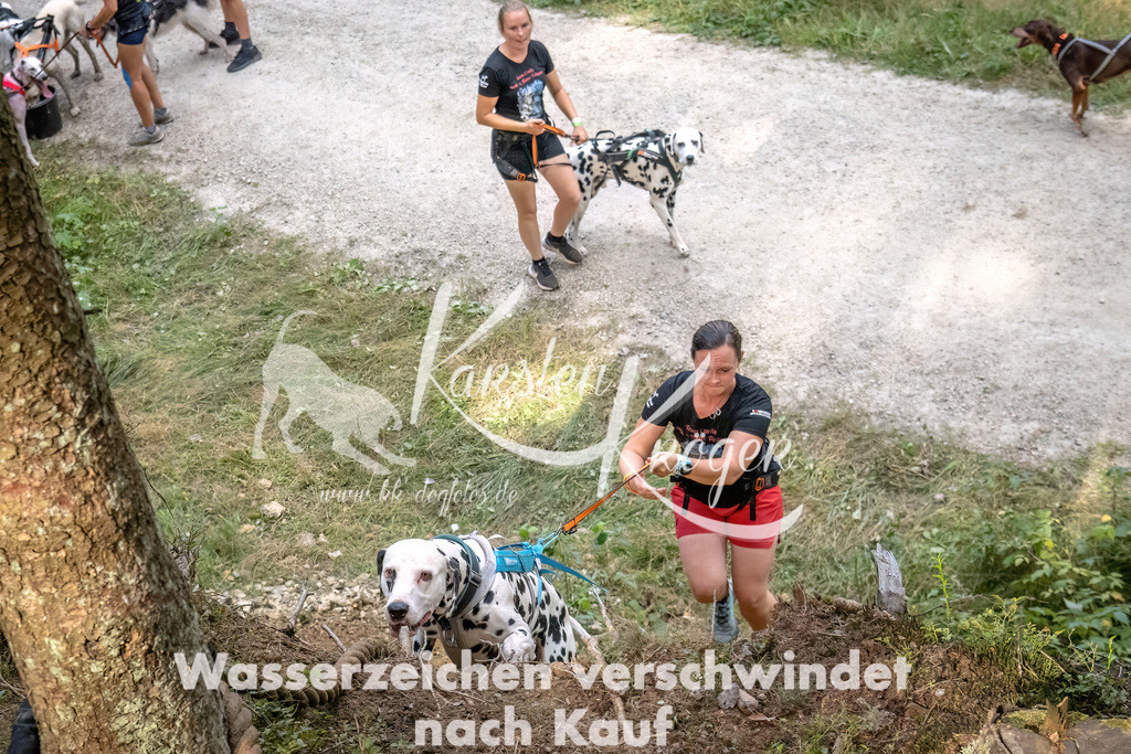 1046_ZZ92193 | kk-dogfotos