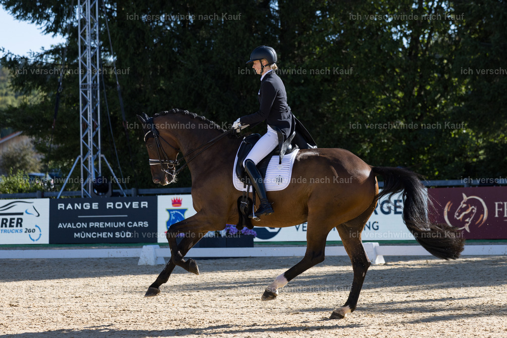 FHC2026_P07_150_17308 | working equitationturnier fotograf videograf stoibphotography marixx film working equitation deutschland reitsport turnierfotografie eventfotografie equestrian events