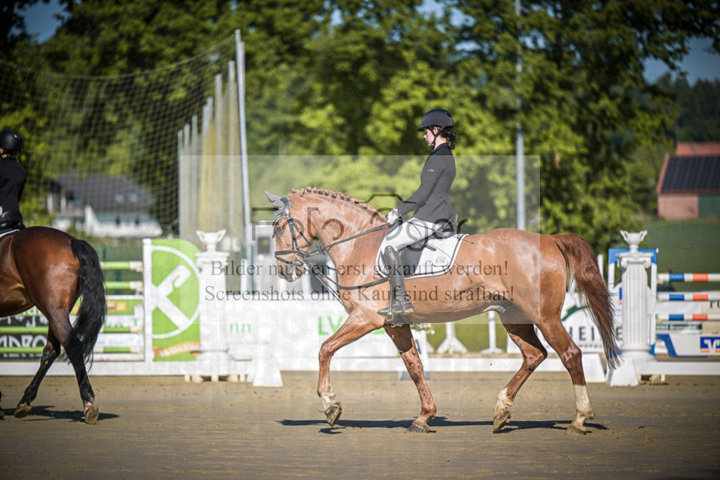 DOS_2917 | Entdecke hochwertige Reitturnierfotos von Foto Oger. Professionell, emotional und authentisch – jetzt Lieblingsmomente im Shop bestellen.Deutschlandweite Turnierfotografie. - Realisiert mit Pictrs.com