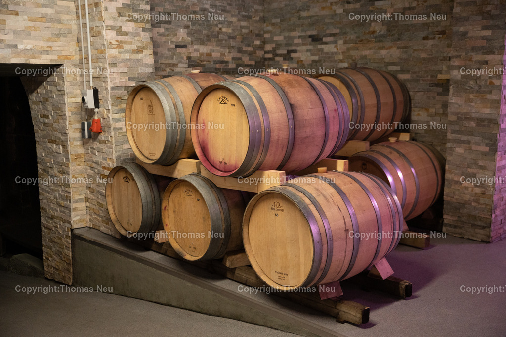 DSC_9384 | Winzerfestbeilage 2022, Weingut Freiberger,Bariquefässer,  Bild: Thomas Neu
