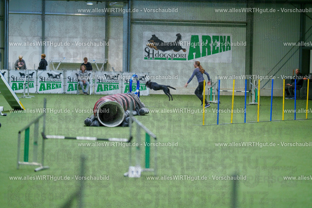 @allesWIRTHgut_Tierfotografie - www.allesWIRTHgut.de - 2604250812-7R505693 | Professionelle Tierfotografie in Mönchengladbach von Daniel Wirth (allesWIRTHgut). Liebevolle & natürliche Bilder von Hunden & Katzen für unvergessliche Erinnerungen.