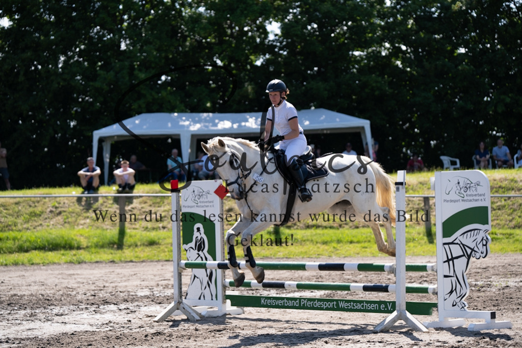 A7V03420 | Pferdefotograf