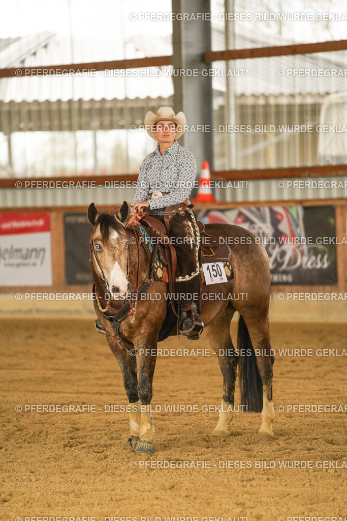 DSC08410 | Pferdegrafie