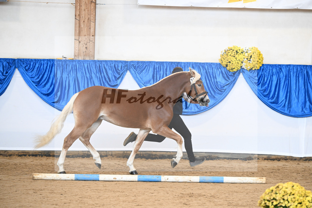 Kat-Nr. 31 Weinbrand v. Weingold S_Brugger_48251147 | hf-fotografie - Realisiert mit Pictrs.com