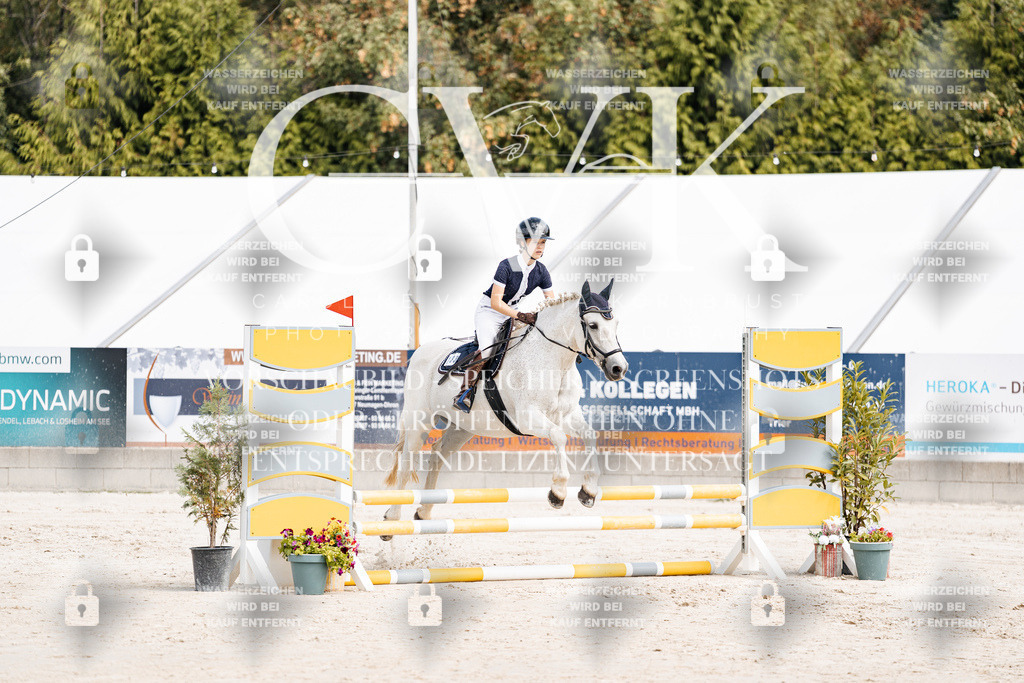 CK906193 | Turnierfotografie Pferdefotografie Trier Rheinland-Pfalz Pferdesport Reitsport Tierfotografie Sportfotografie Pferdevideo Pferdevideografie Equestrianvideography equestrianphotography  - Realisiert mit Pictrs.com