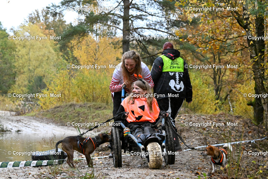 DSC_7047 | Hallo und herzlich Willkommen auf meiner Shop-Seite Fynn Most.

Ich wünsche Dir viel Spaß beim stöbern durch die Bilder, wenn Du Fragen hast oder Bilder vermisst, kannst du mir gerne eine Nachricht schreiben. - Realisiert mit Pictrs.com