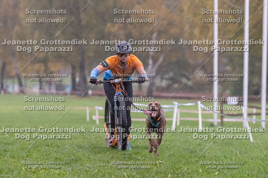 Dog Paparazzi - SD CaniX Championship 2025-890 | Dog Paparazzi Jeanette Grottendiek Fotografie & Videografie - Realisiert mit Pictrs.com