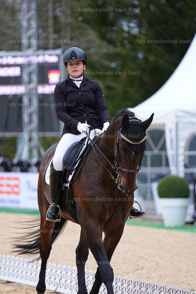 04_2-206-Dressur M__ -Marixx-3052 | working equitationturnier fotograf videograf stoibphotography marixx film working equitation deutschland reitsport turnierfotografie eventfotografie equestrian events