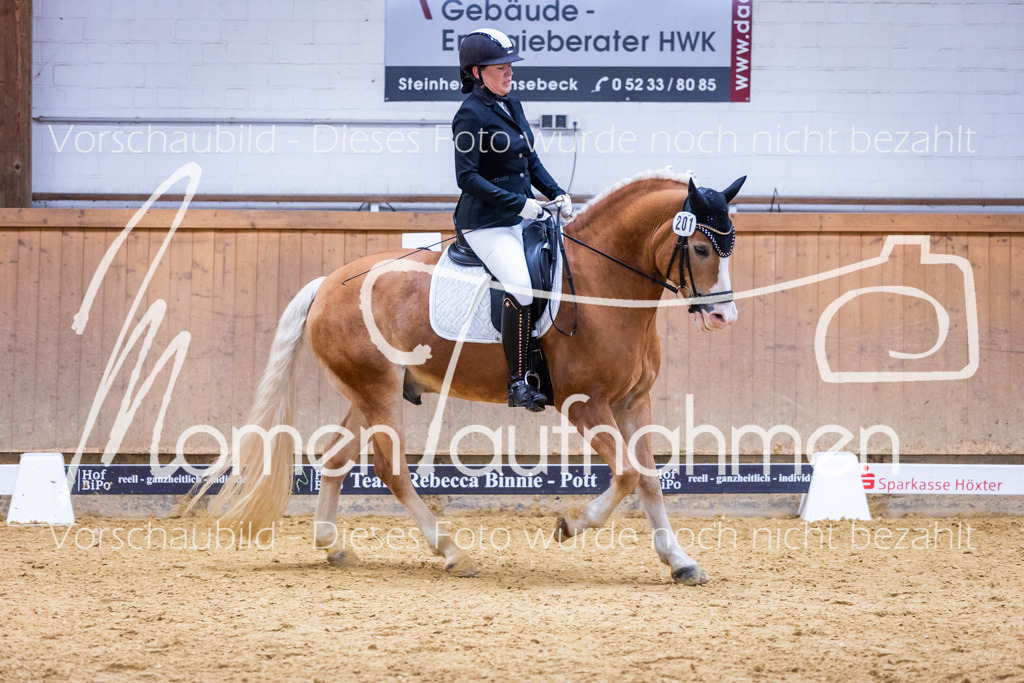 Sth-A-Dre-2St-044 | MomenTaufnahmen Pferdesportfotos