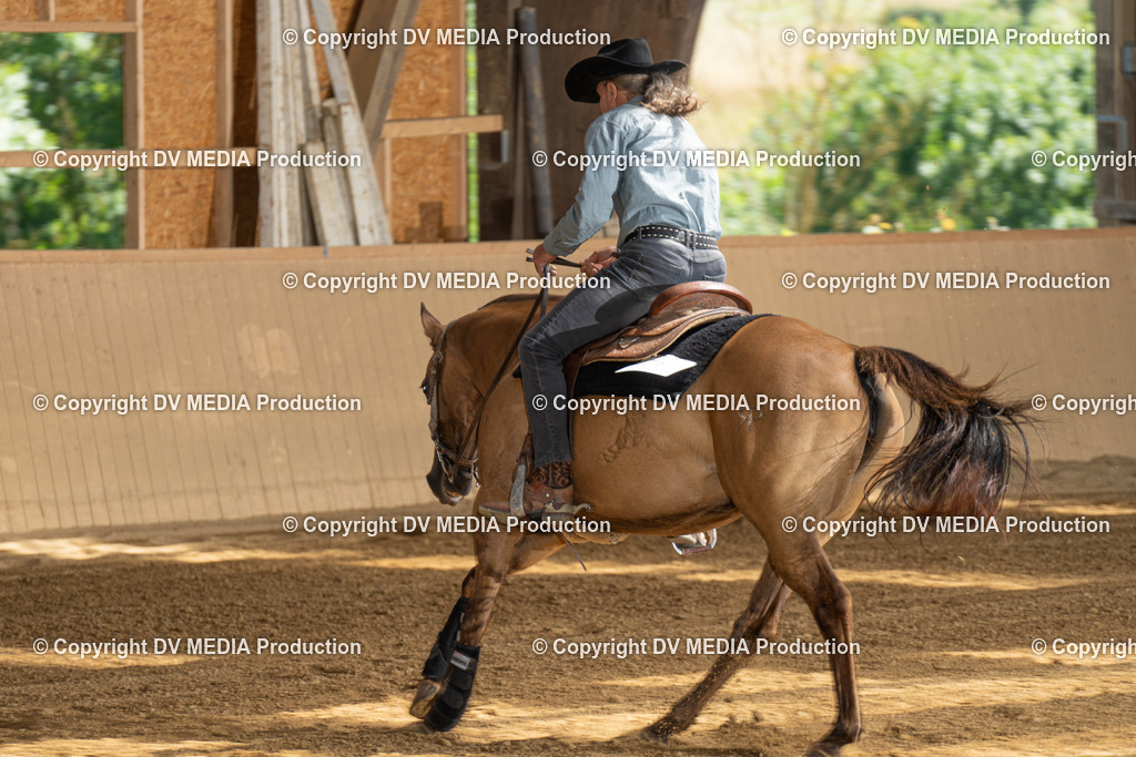 DSC00227 | dv-media-shop - Realisiert mit Pictrs.com