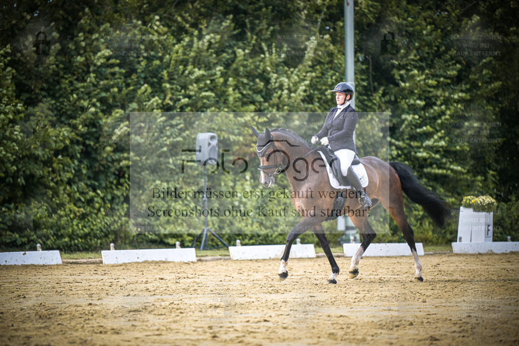 DOS_0217 | Entdecke hochwertige Reitturnierfotos von Foto Oger. Professionell, emotional und authentisch – jetzt Lieblingsmomente im Shop bestellen. - Realisiert mit Pictrs.com