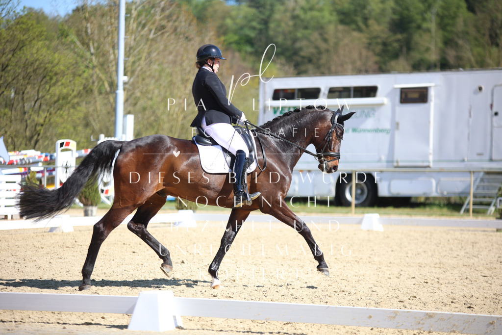 IMGT8556 | pl-fotografie