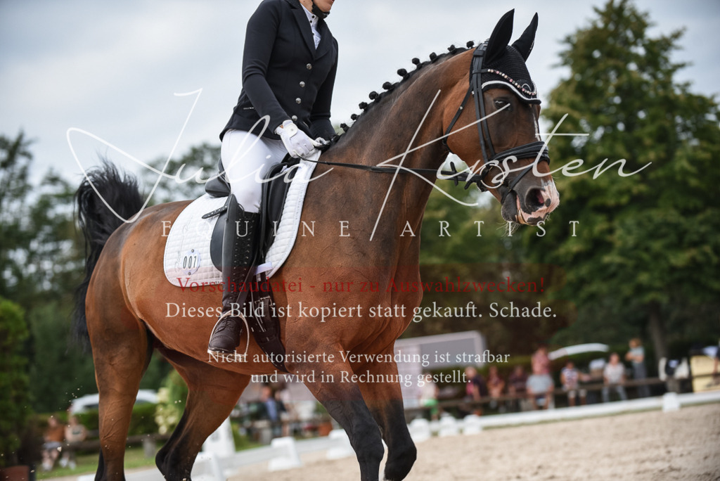 DSC_8562 | Pferde- und Turnierfotografie in Westsachsen. Pferdeportraits, Auftragszeichnungen und intuitive Kunst.