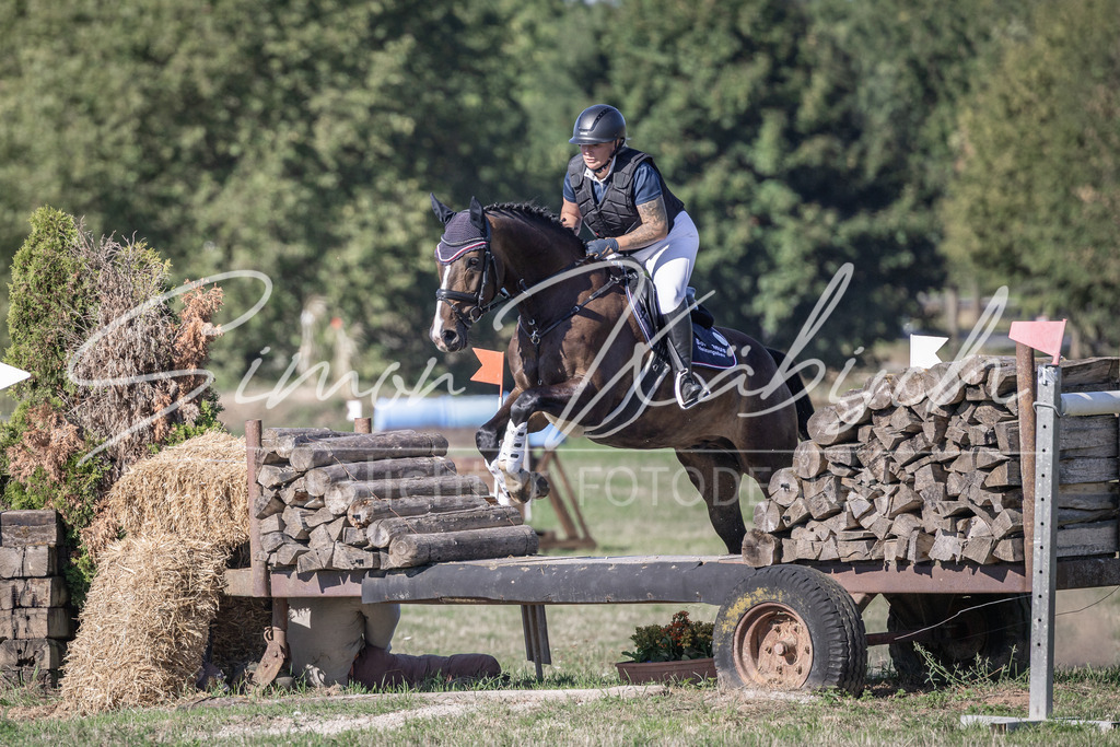 20260906-_3LI2244 | Tierfotografie Pferde, Hunde, Katzen, Haustiere.
Turnierfotografie Reitturniere, Reiten, Springreiten, Dressur in Hanau, dem Main-Kinzig-Kreis und dem Rhein-Main- Gebiet um Frankfurt