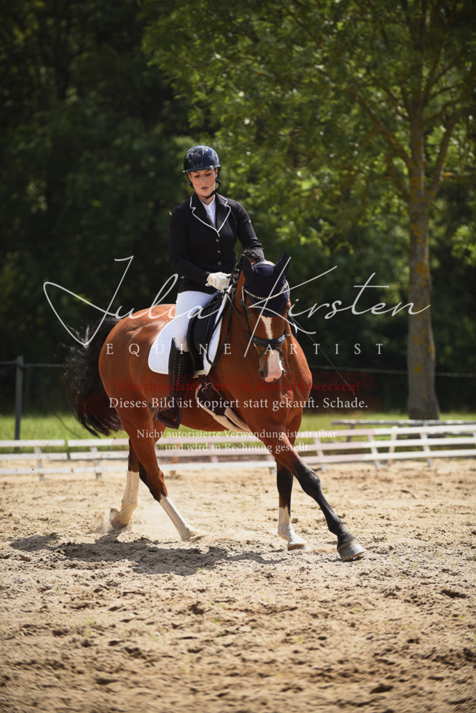 DSC_1256 | Pferde- und Turnierfotografie in Westsachsen. Pferdeportraits, Auftragszeichnungen und intuitive Kunst.