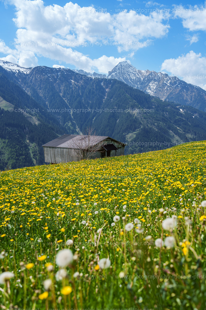  Steinerkogl Wanderung Frühling copyright  Thomas Pfister-7 | PHOTOGRAPHY BY THOMAS PFISTER
