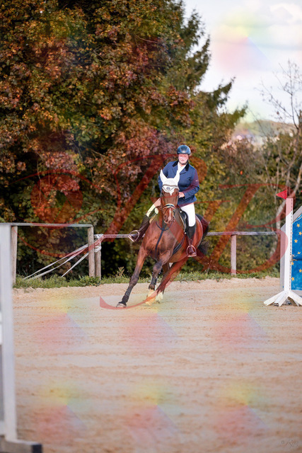 2026_10_03_Siefer-Hof_170336_Z81_00177156 | Professionelle Reitsport-, Turnier- und Eventfotografie von Robert Broda. Galerien mit ausgewählten und bearbeiteten Bildern direkt online ansehen und bestellen.