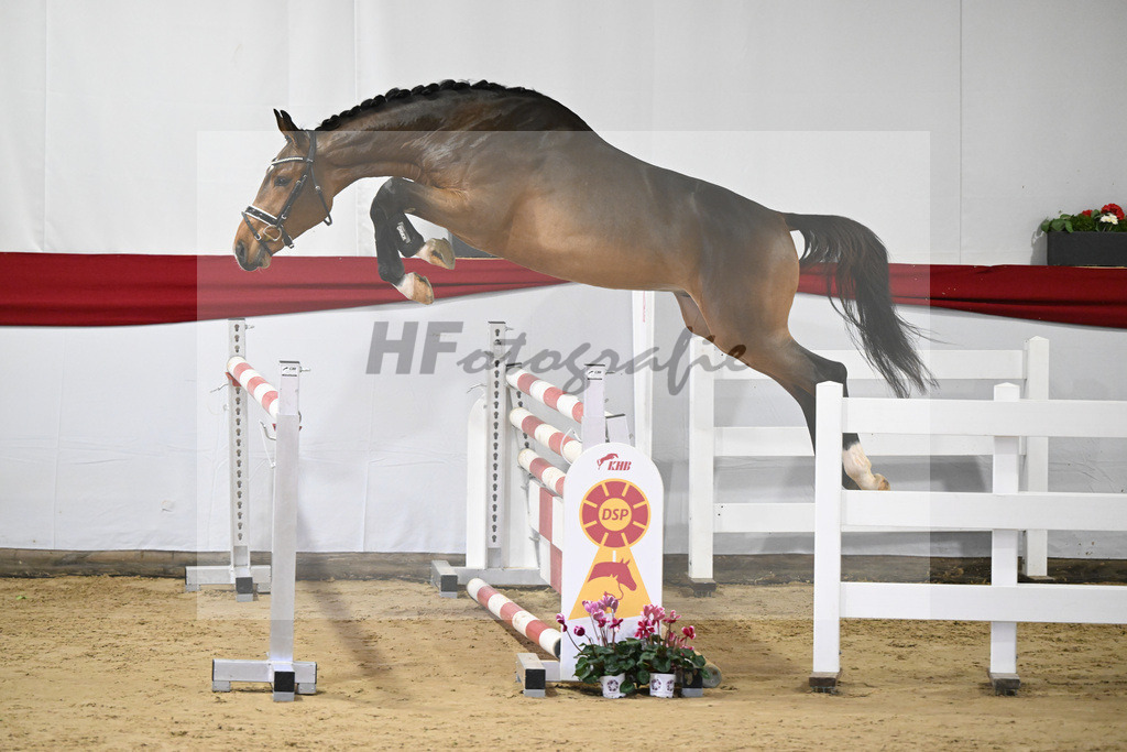 Kat-Nr. 31 v. Comme il faut NRW_Seiger_63220860 | hf-fotografie - Realizzato con Pictrs.com