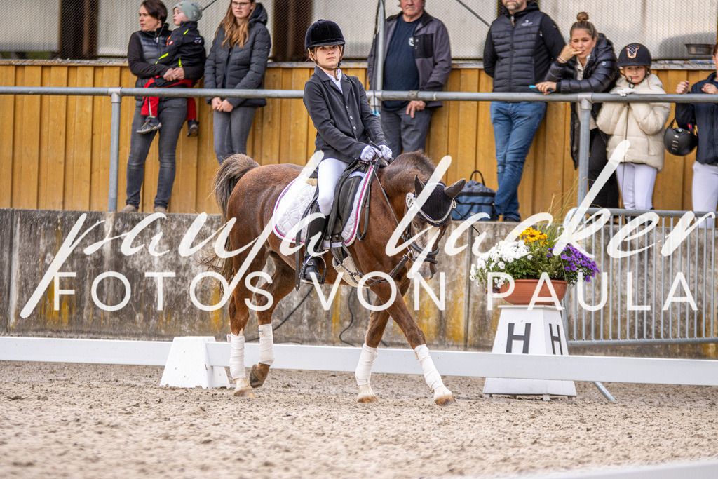 IMG_3705 | Erleben Sie dynamische Sport- und emotionale Tierfotografie in Süddeutschland mit Fotos von Paula. Spezialisiert auf Pferde- und Hundefotografie sowie Sportevents. Kontaktieren Sie mich für einzigartige und ausdrucksstarke Bilder Ihrer besonderen Momente. - Realisiert mit Pictrs.com