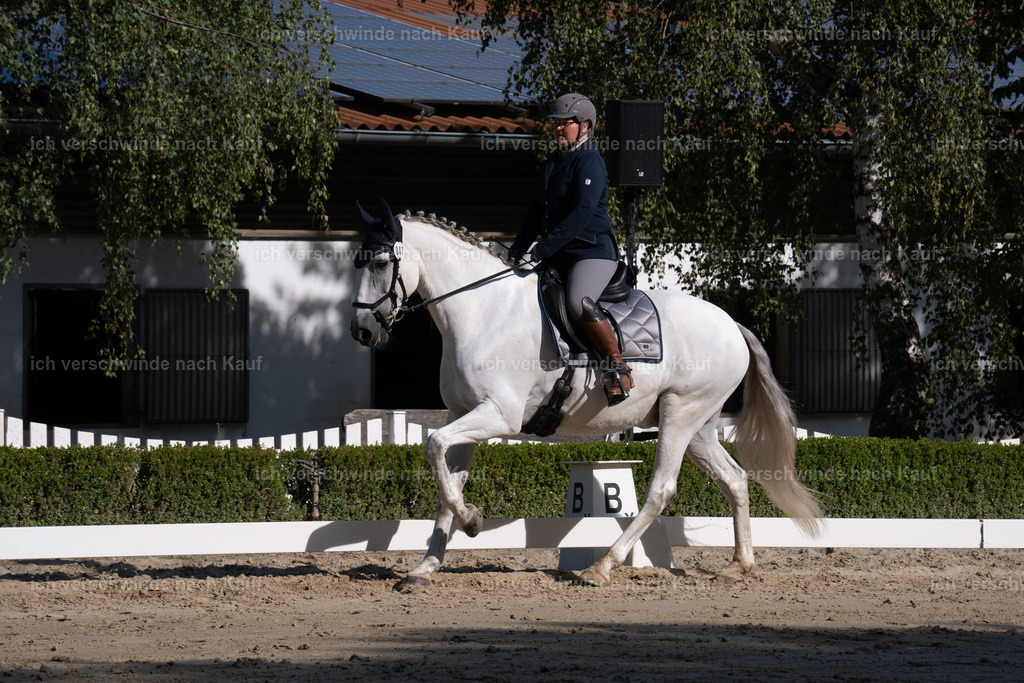 WL_DR_47_sinafilmart_IN06225 | working equitationturnier fotograf videograf stoibphotography marixx film working equitation deutschland reitsport turnierfotografie eventfotografie equestrian events
