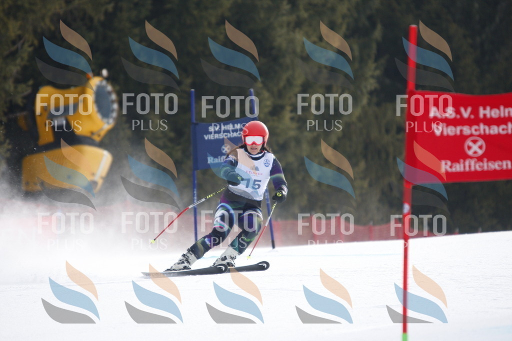 D4794 | holidayphoto