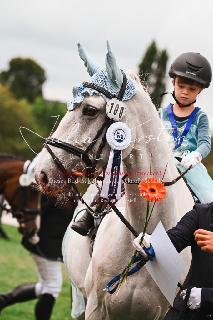 DSC_7475 | Pferde- und Turnierfotografie in Westsachsen. Pferdeportraits, Auftragszeichnungen und intuitive Kunst.