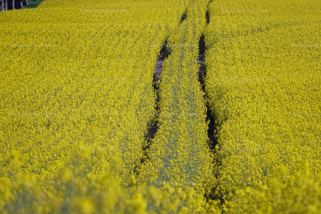 rapps-heute_7 | foto-focus-online