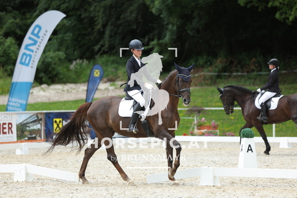 0P6A1004 | Willkommen bei Brunnmayr - Design & Fotografie – Ihrem Spezialisten für Reitturniere und Pferdeveranstaltungen in Oberösterreich, Salzburg und Bayern! Seit über 17 Jahren sind wir leidenschaftlich dabei.