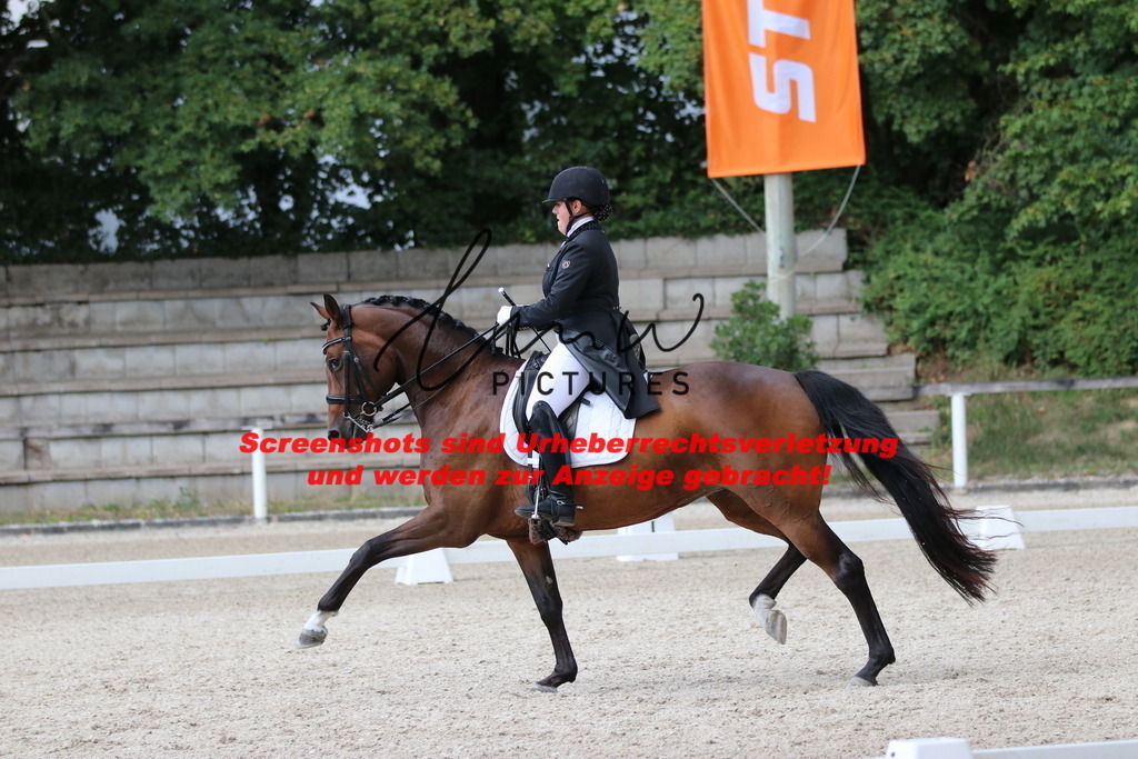 IMG_9625 | lmwpictures - Realisiert mit Pictrs.com