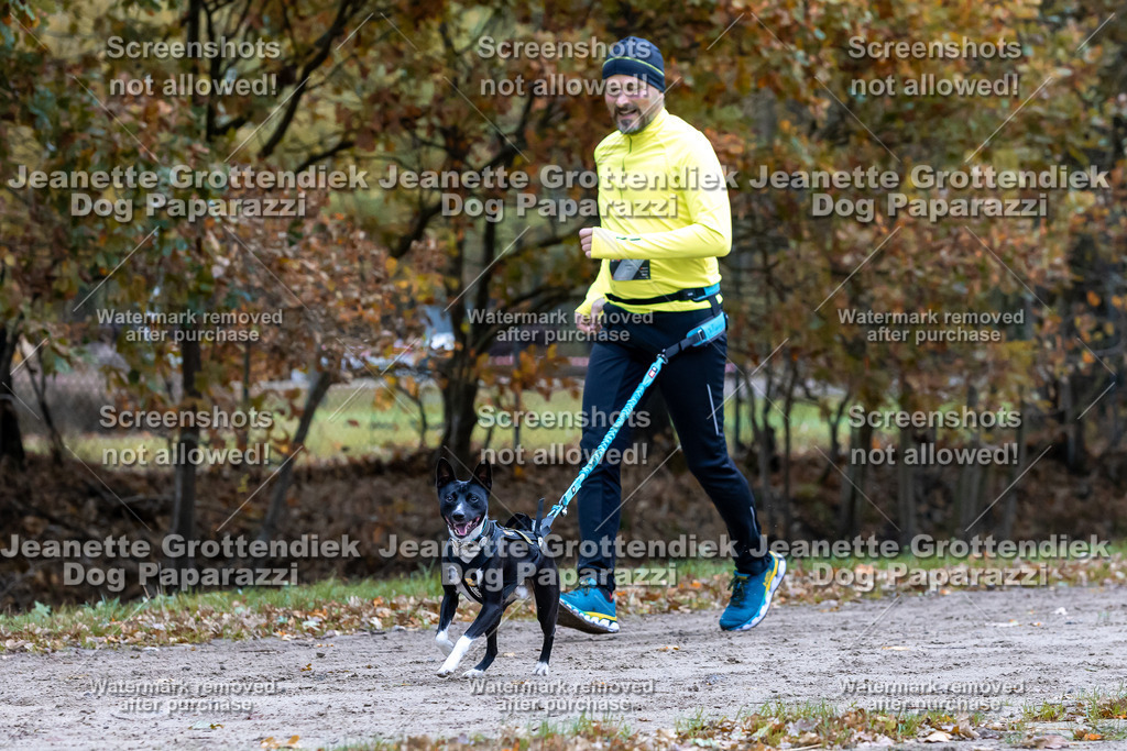 Dog Paparazzi - SD CaniX Championship 2025-406 | Dog Paparazzi Jeanette Grottendiek Fotografie & Videografie - Realisiert mit Pictrs.com