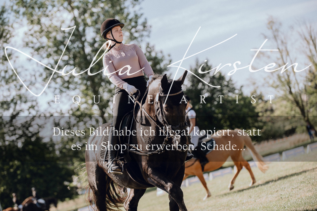 DSC_7063 | Pferde- und Turnierfotografie in Westsachsen. Pferdeportraits, Auftragszeichnungen und intuitive Kunst.