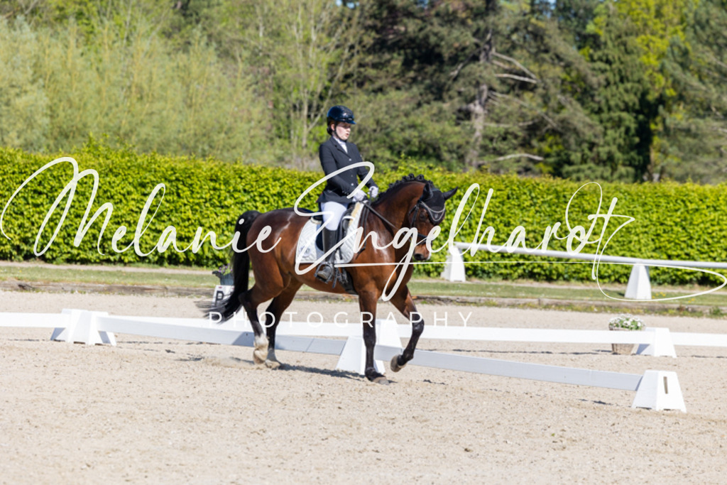 7I8A9508 | melanie-engelhardt-photography - Realisiert mit Pictrs.com