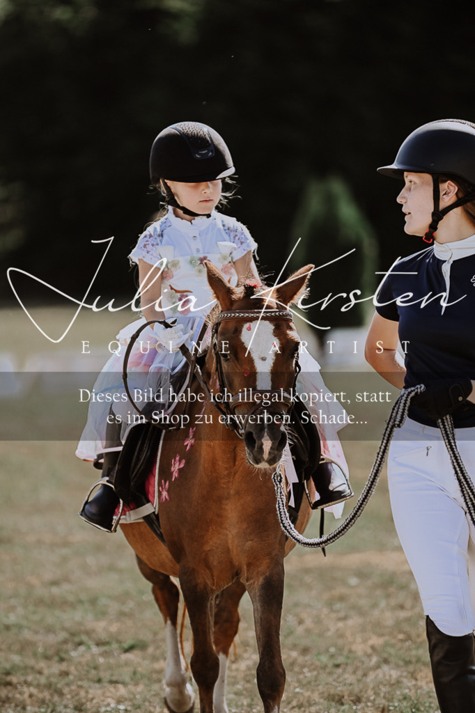 DSC_9149 | Pferde- und Turnierfotografie in Westsachsen. Pferdeportraits, Auftragszeichnungen und intuitive Kunst.