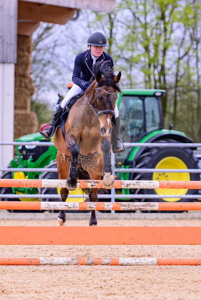 12042026-Mammendorf-Prfg39-0174 | Fokus Hufschlag Fotografie - Realisiert mit Pictrs.com