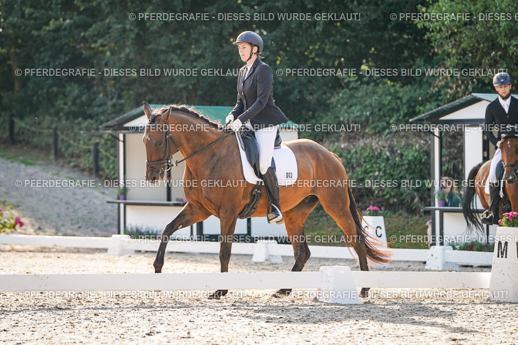 DSC08416 | Pferdegrafie