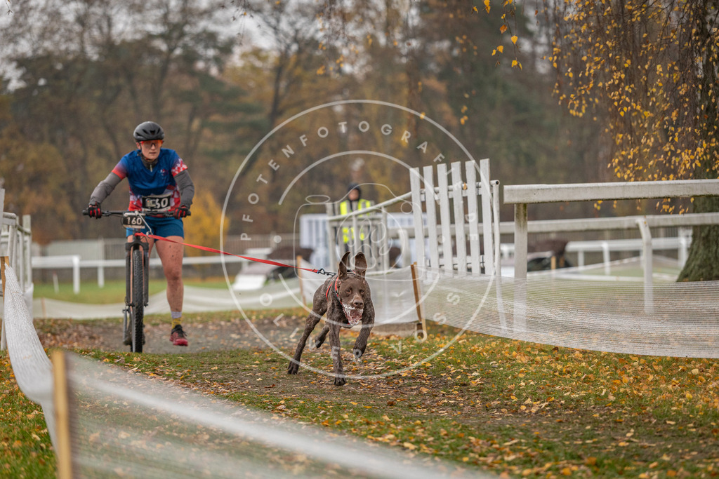 CaniXpix_DV3A8497 | Hundefotografie, Tierfotograf, Pfotenfotografie, Fotoshooting Hund, Hunde Portrait, Hundesport, Hundeportraits, Heideshooting, Hunde, Sportfotograf, Hundefotograf, Turnierhundsport, THS,  - Realisiert mit Pictrs.com